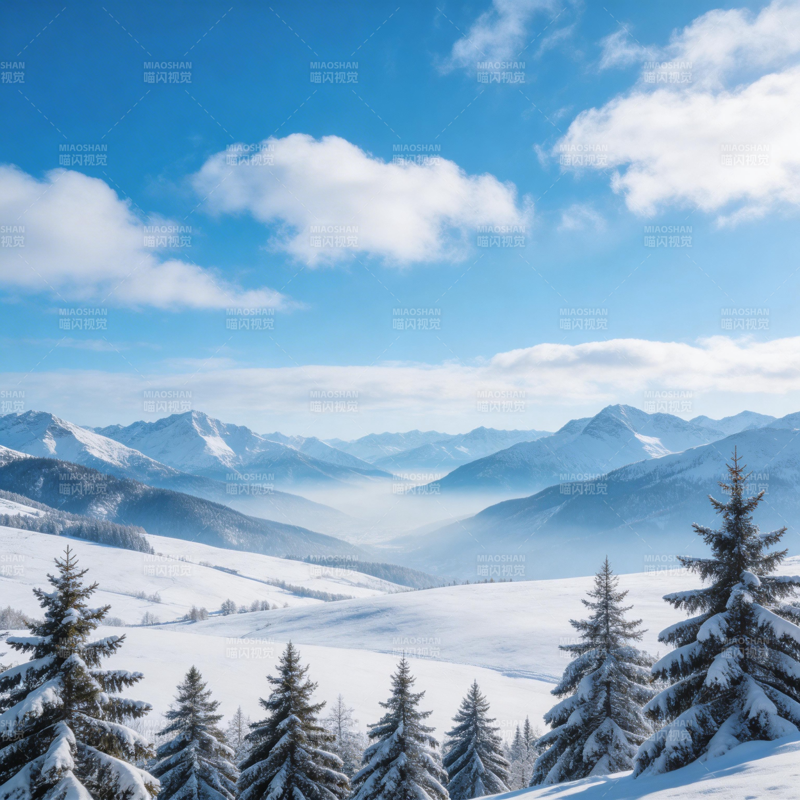 雪域山峦 松林静谧图片