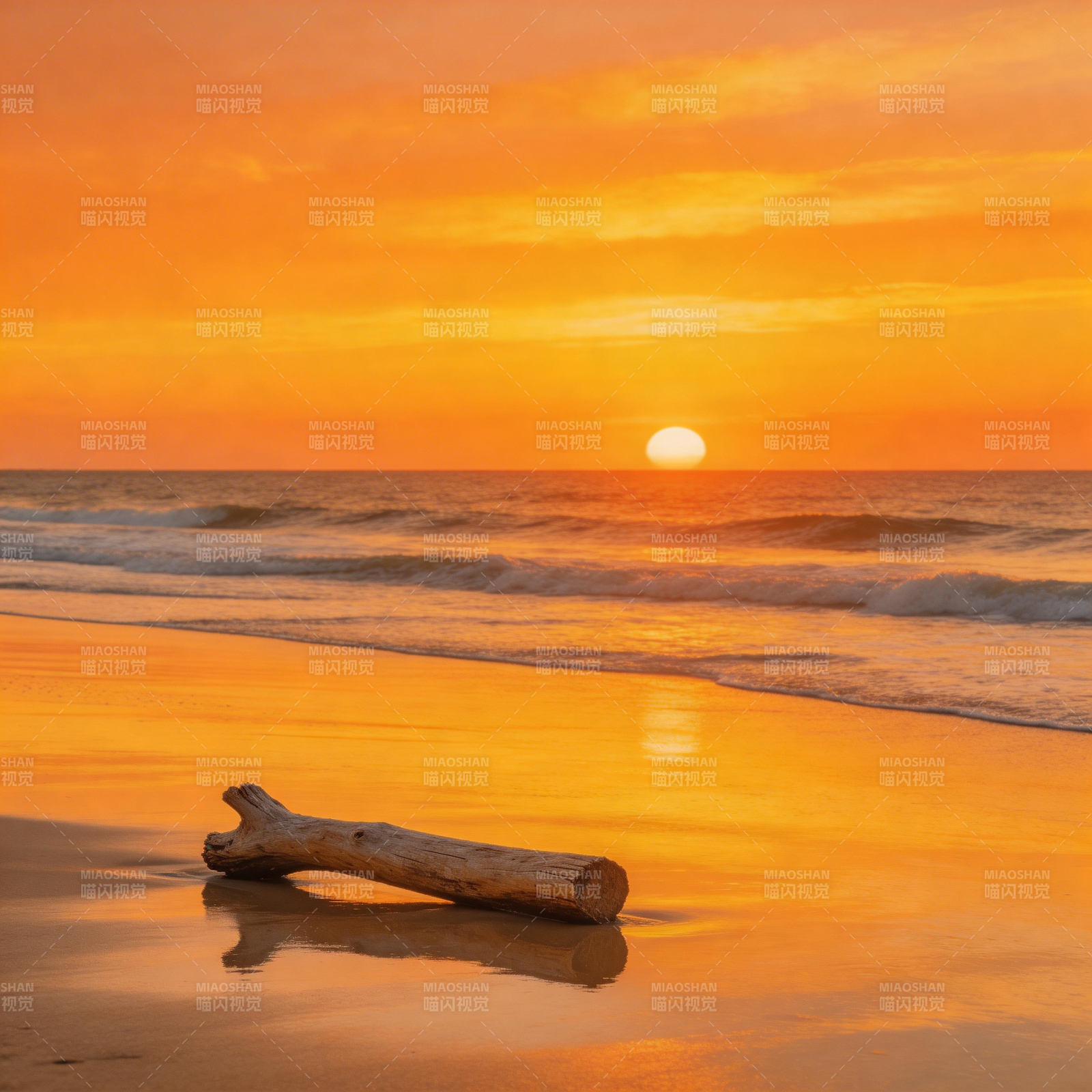 夕阳下的海滩枯木图片