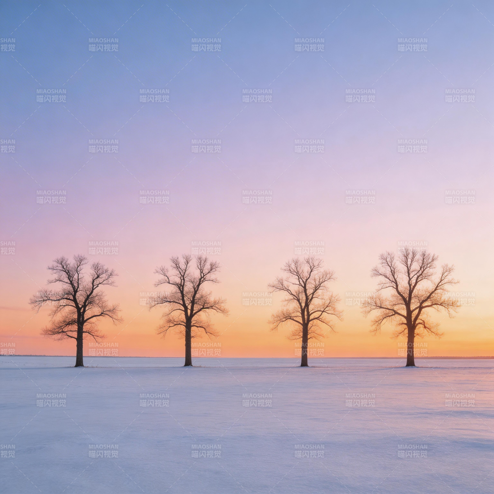 雪原四树映霞光图片