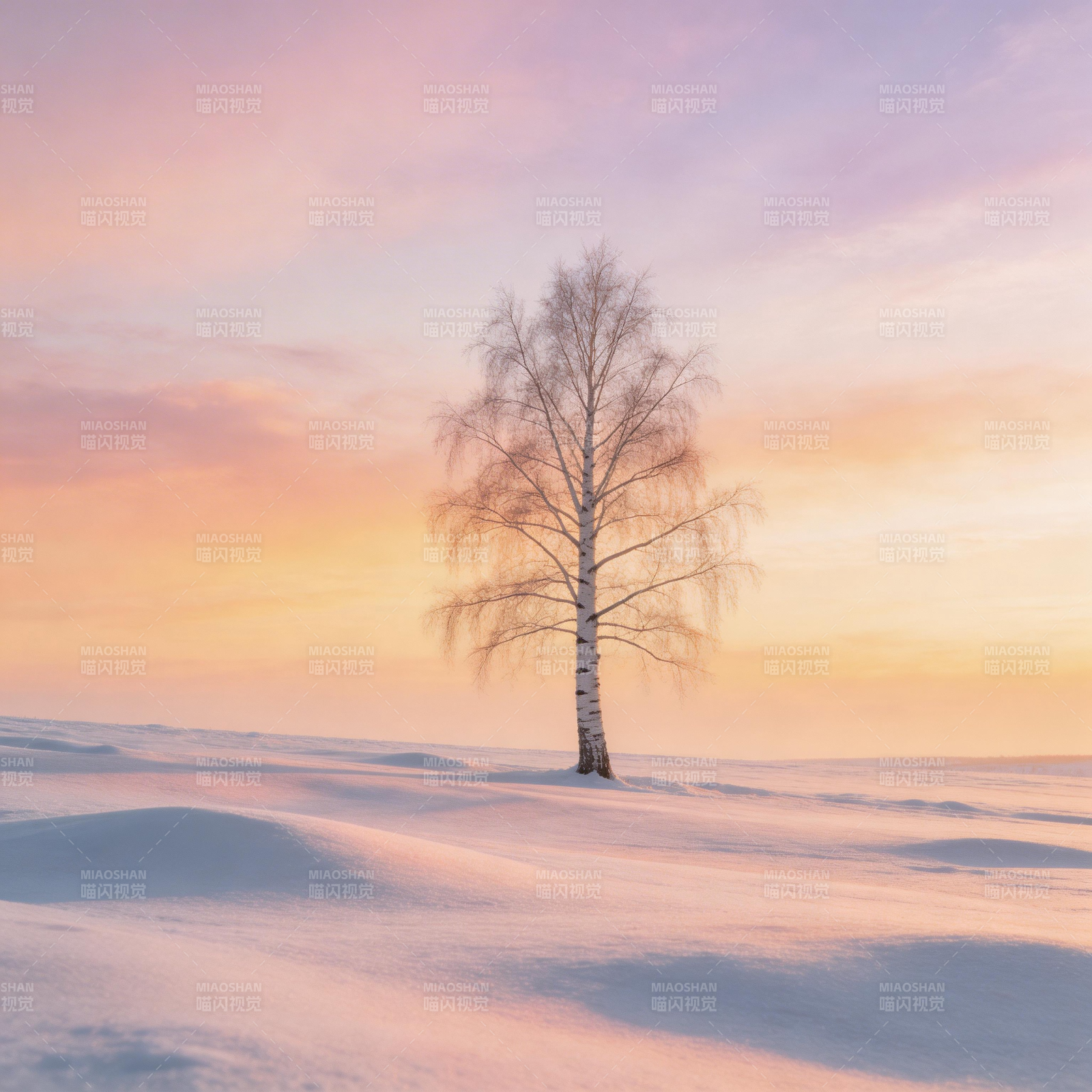 雪原孤树映霞光图片