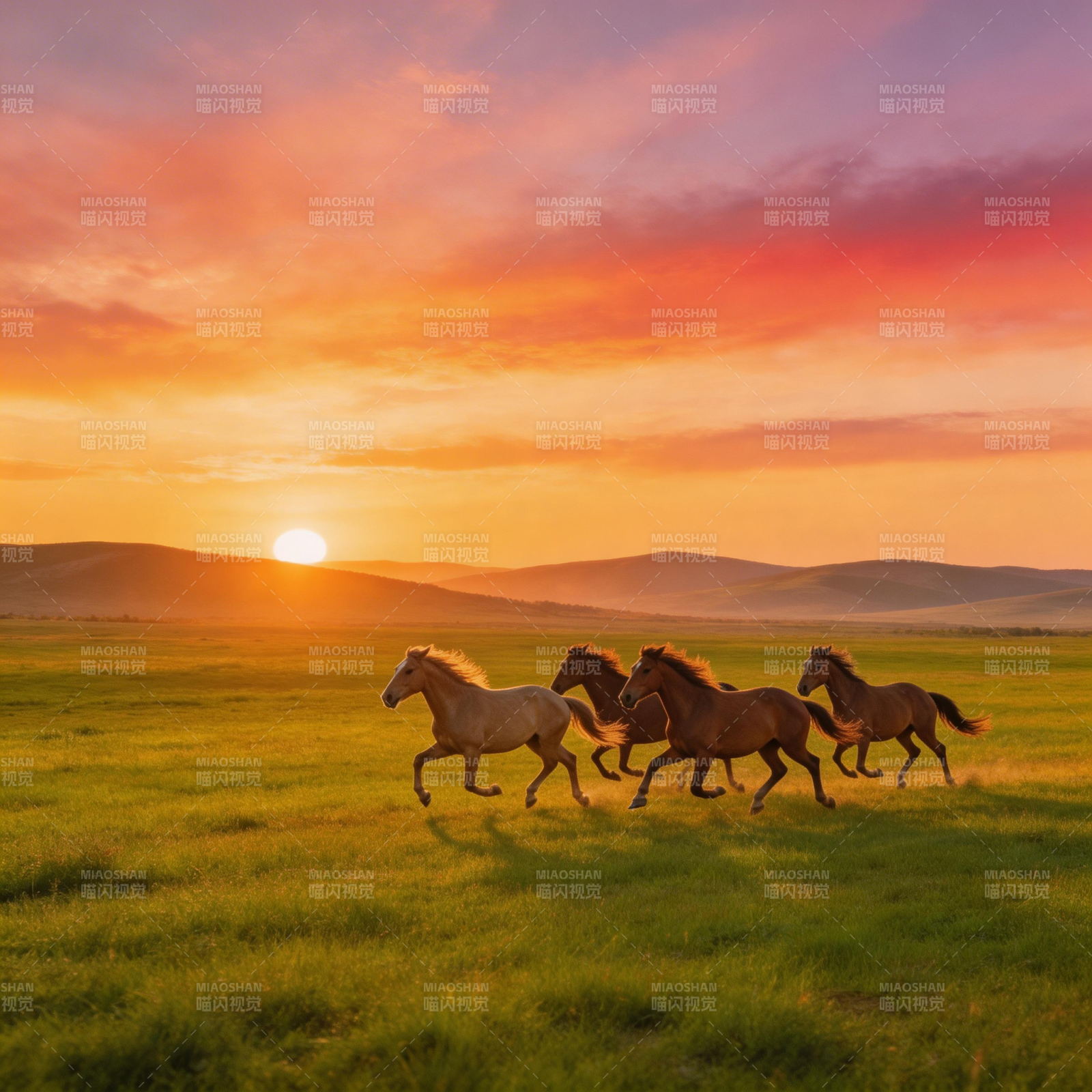 草原日落奔马图图片