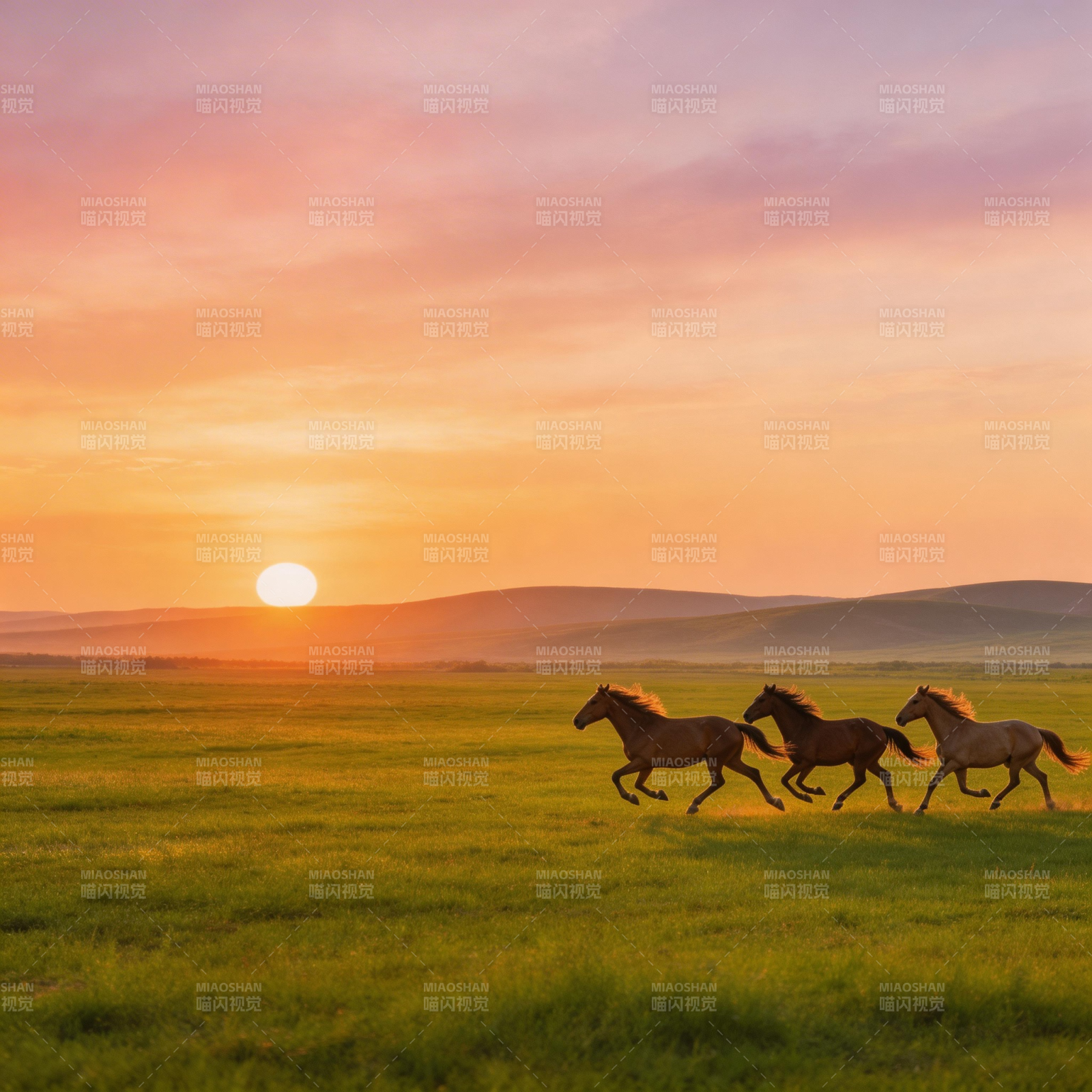 草原夕阳奔马图图片