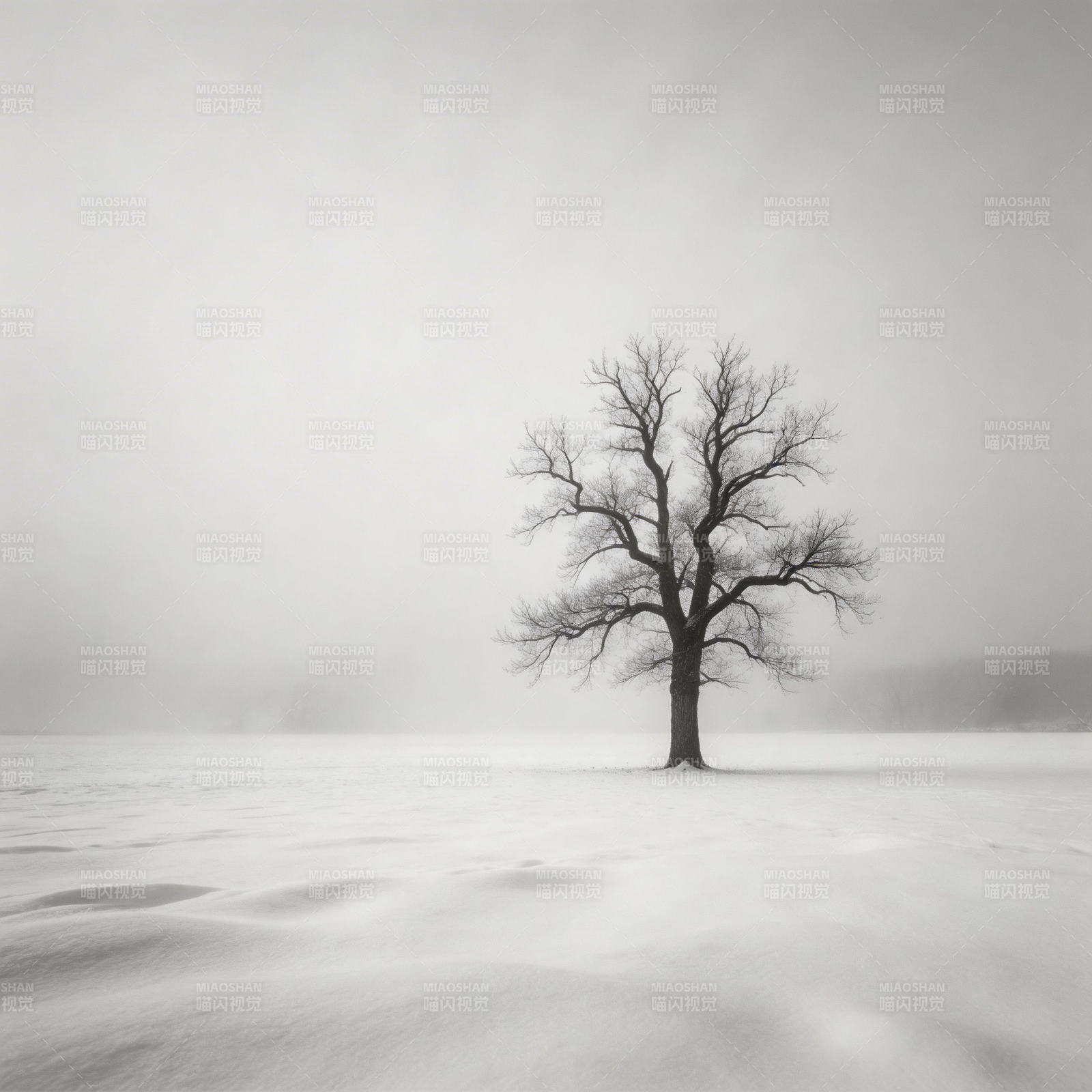 孤树雪原图片