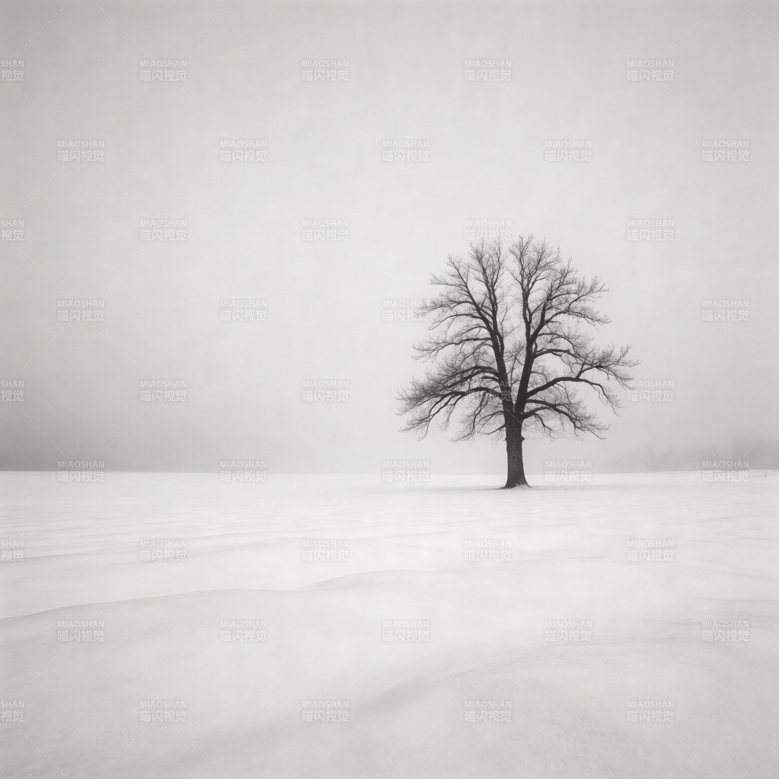 雪原孤树图片