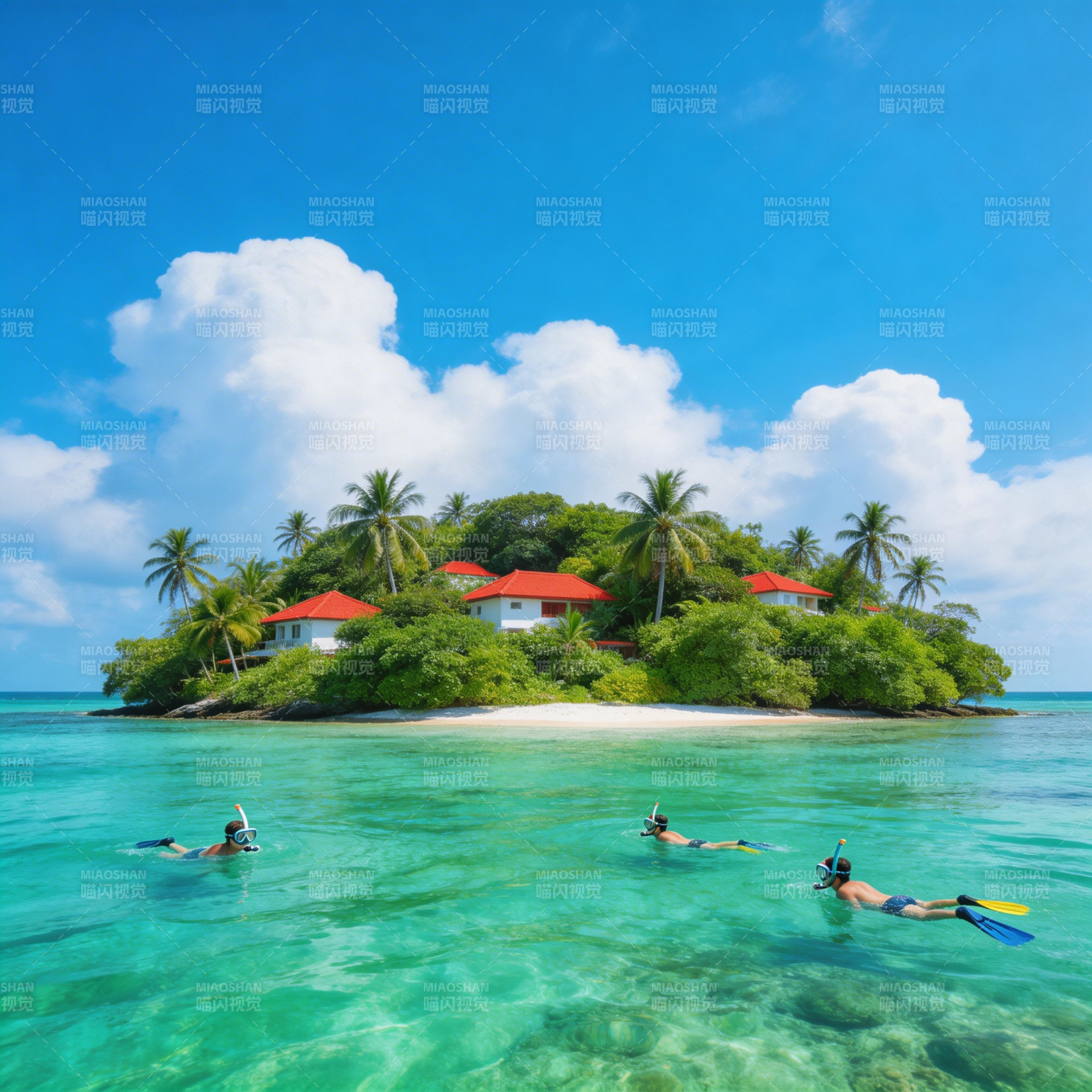 热带海岛潜水趣图片