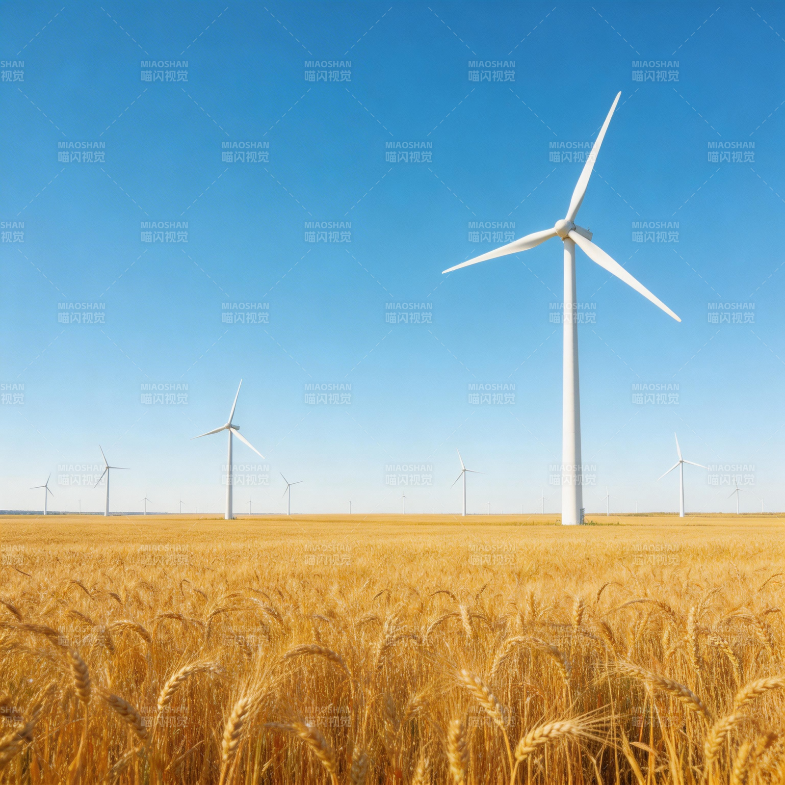 风车田野风光图片