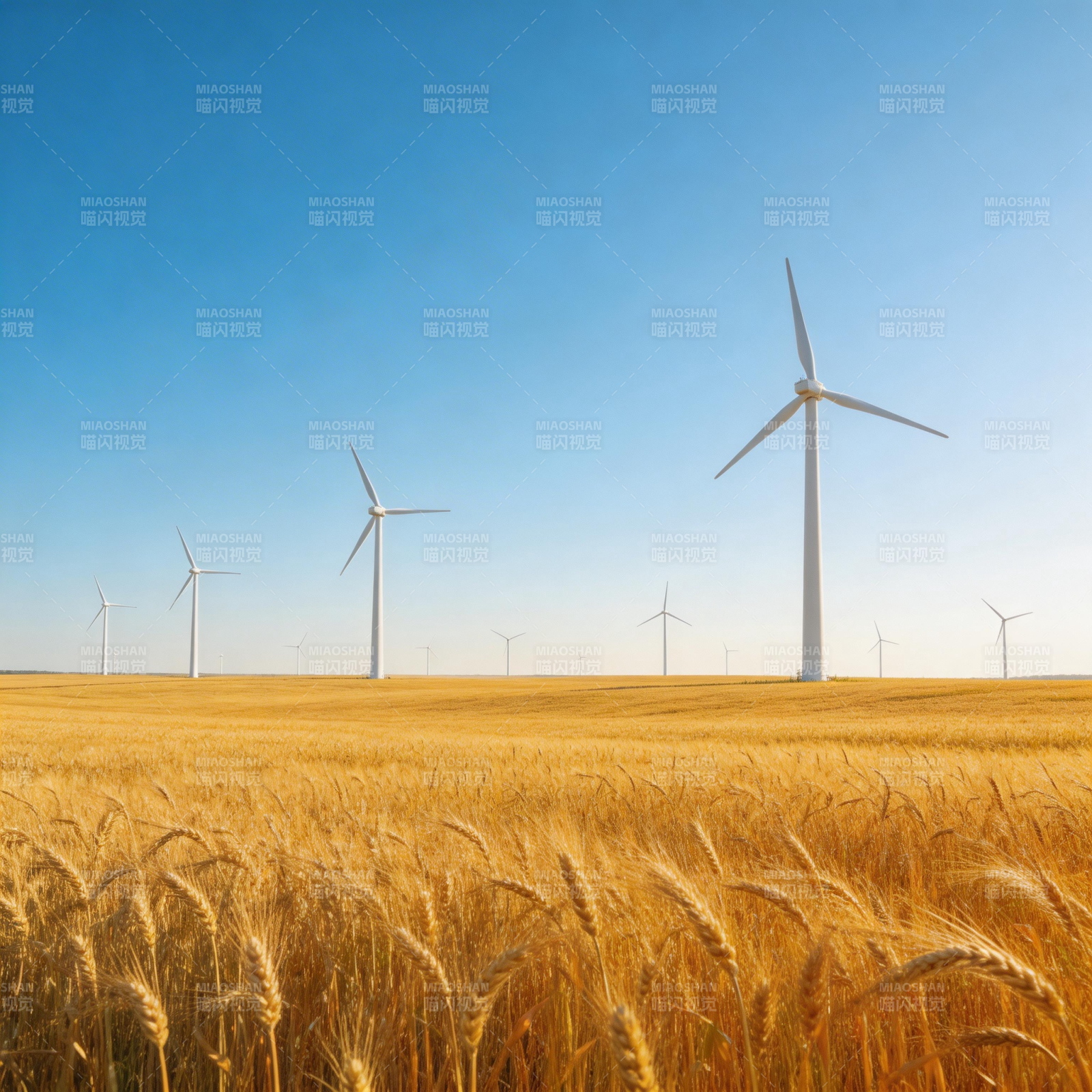 风车田野风光图片