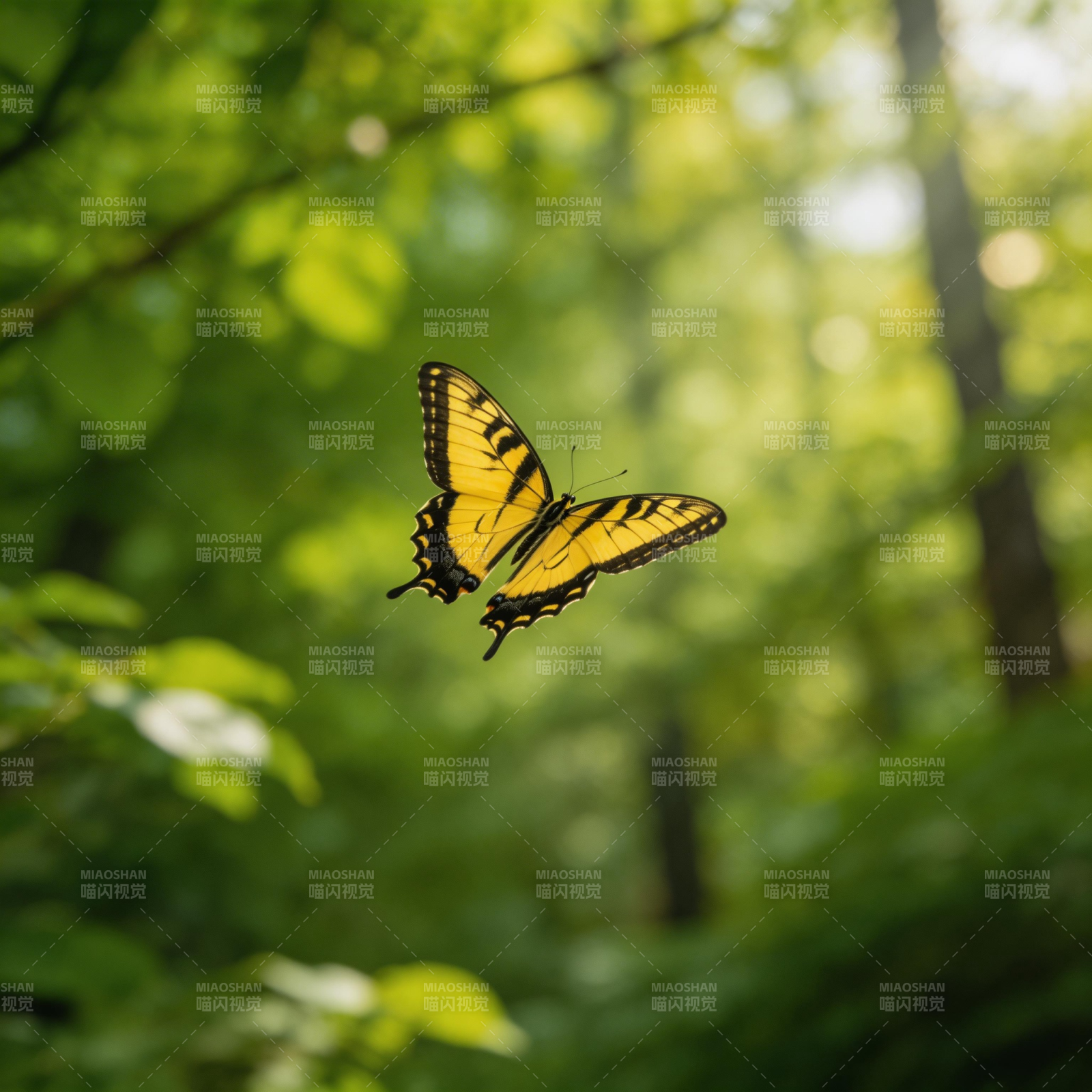 黄蝶翩跹林间图片