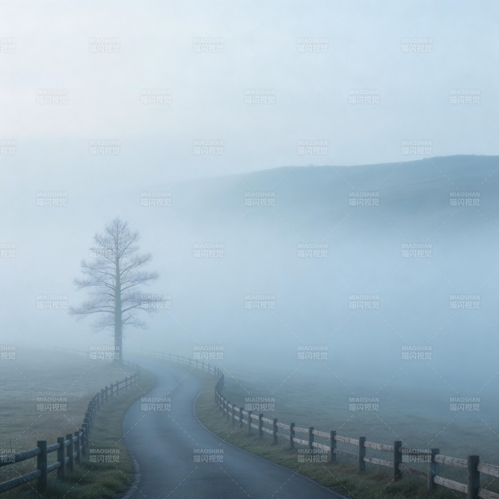 雾中孤树小径图片