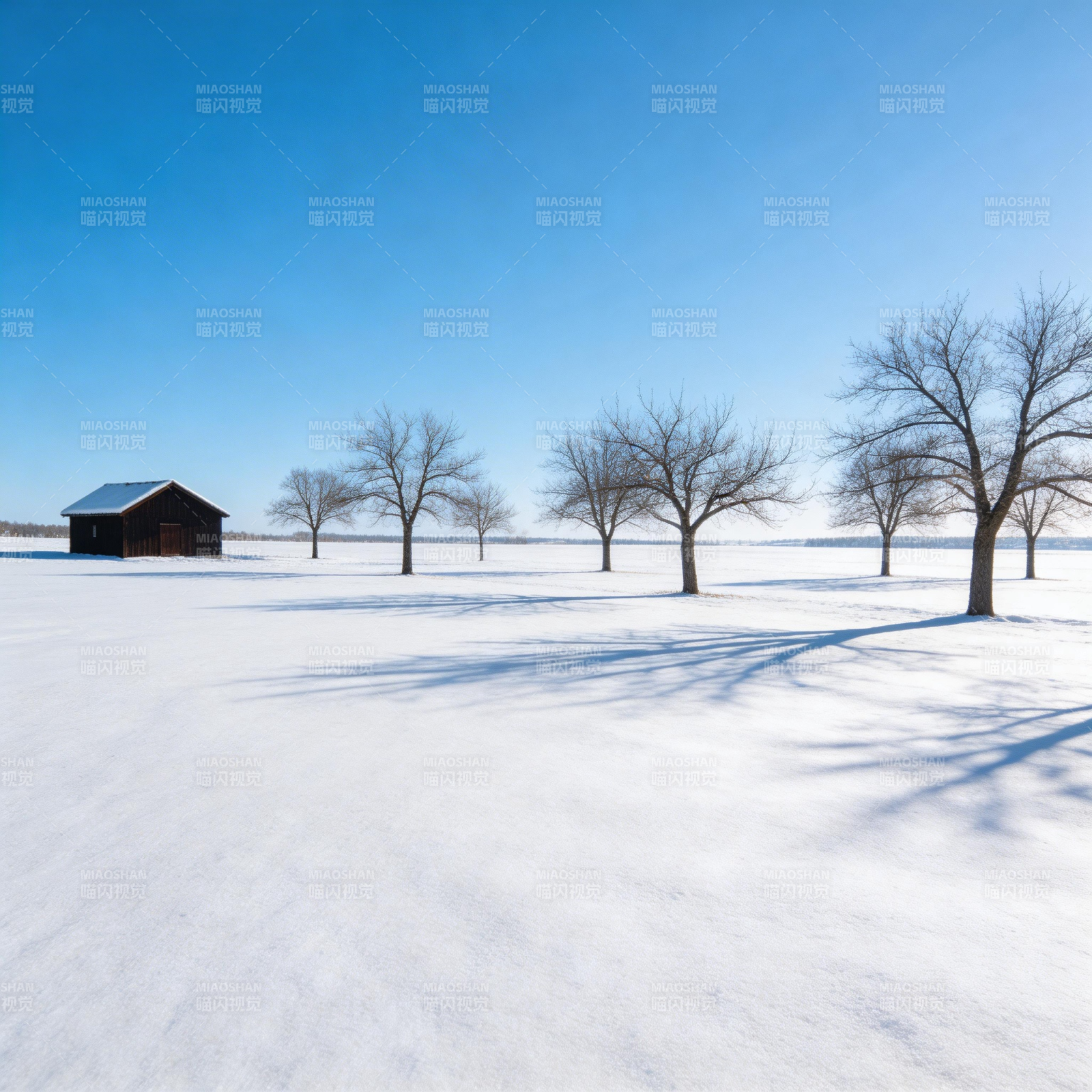 雪原孤屋树影图片