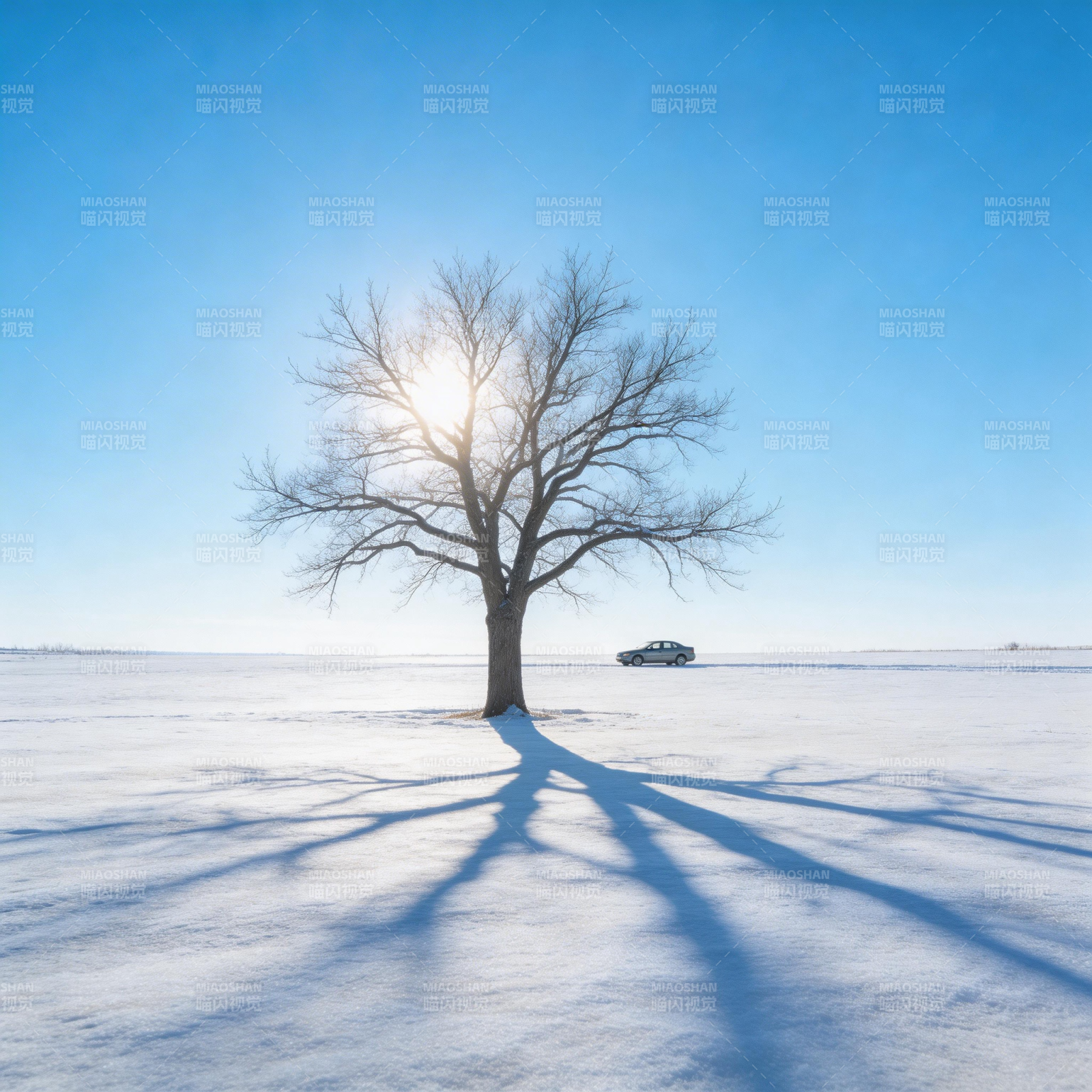 雪原孤树影图片