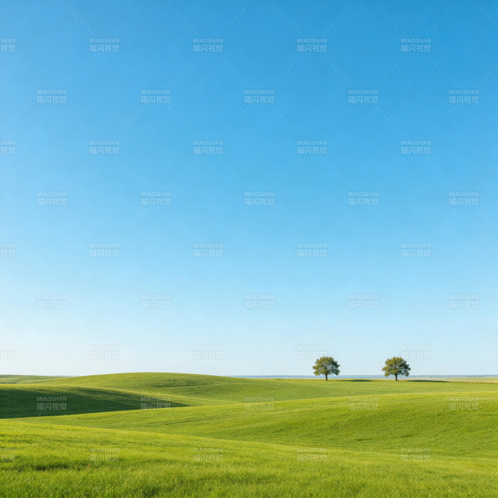 绿野蓝天两树影图片