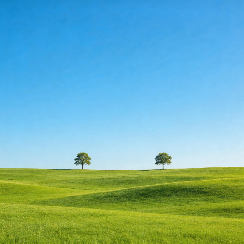 绿野双树映蓝天图片