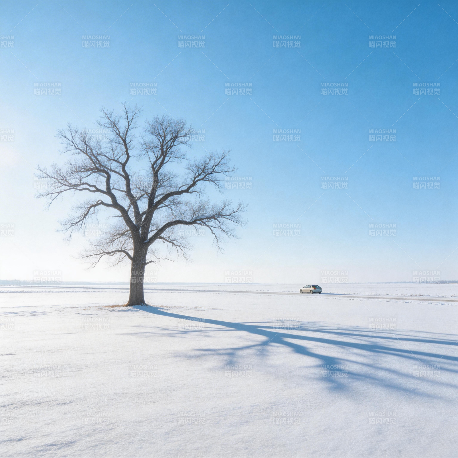 雪原孤树影图片