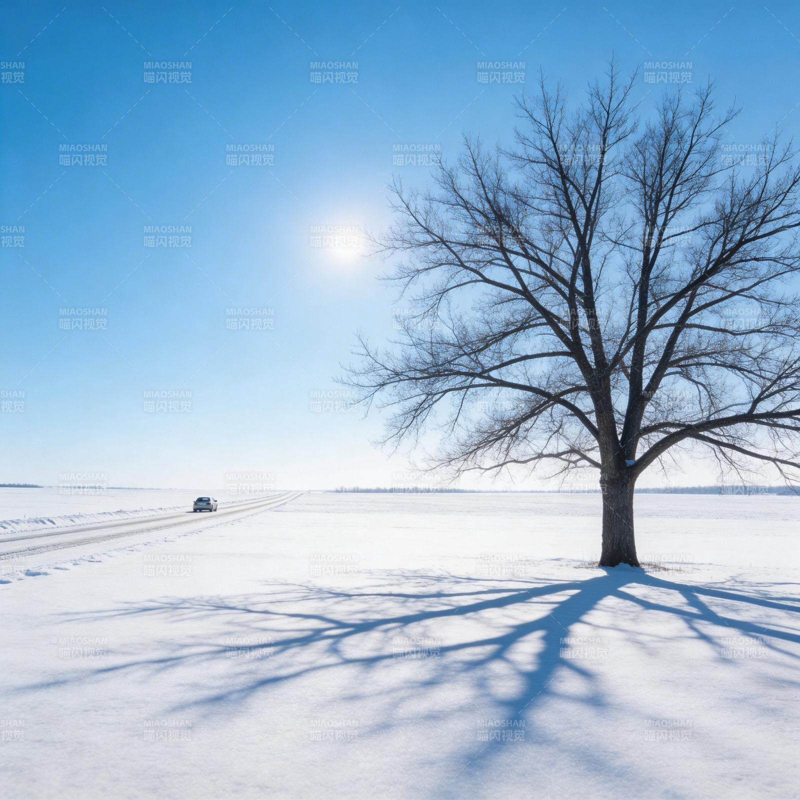 雪原孤树影图片