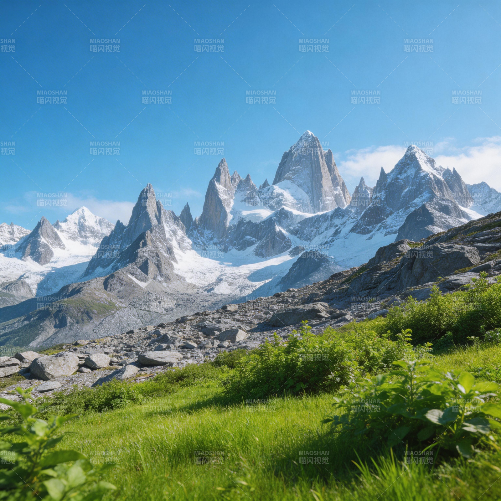 雪山草甸风光图片