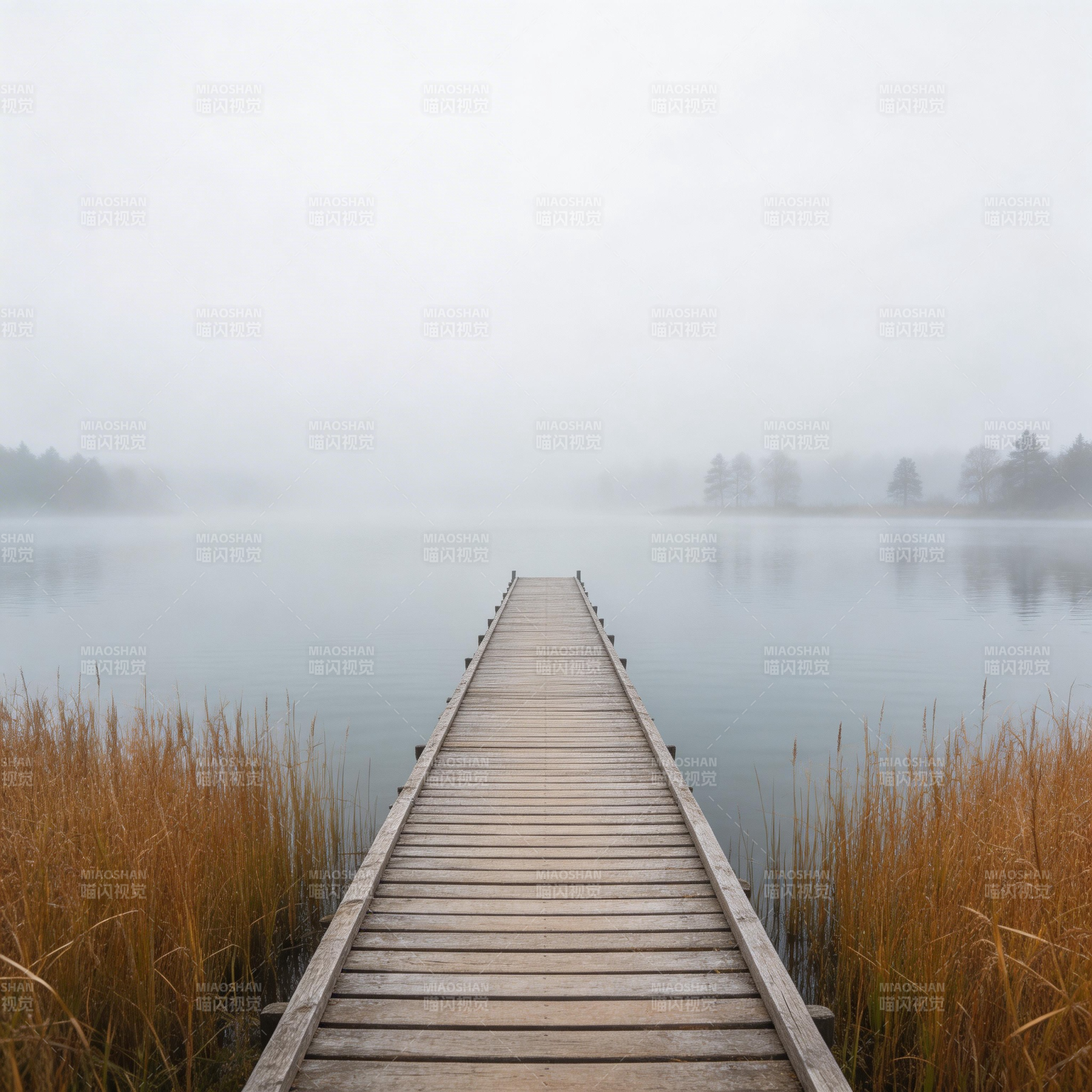 雾湖木栈道图片