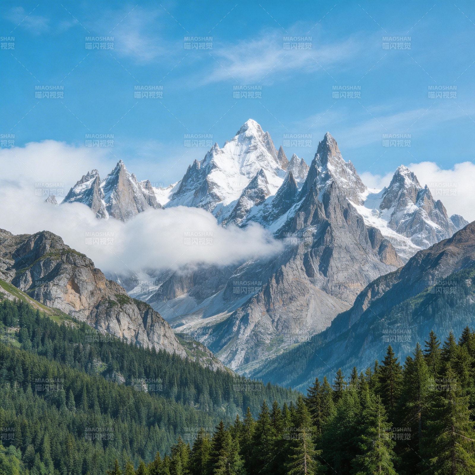 雪山云海松林图片