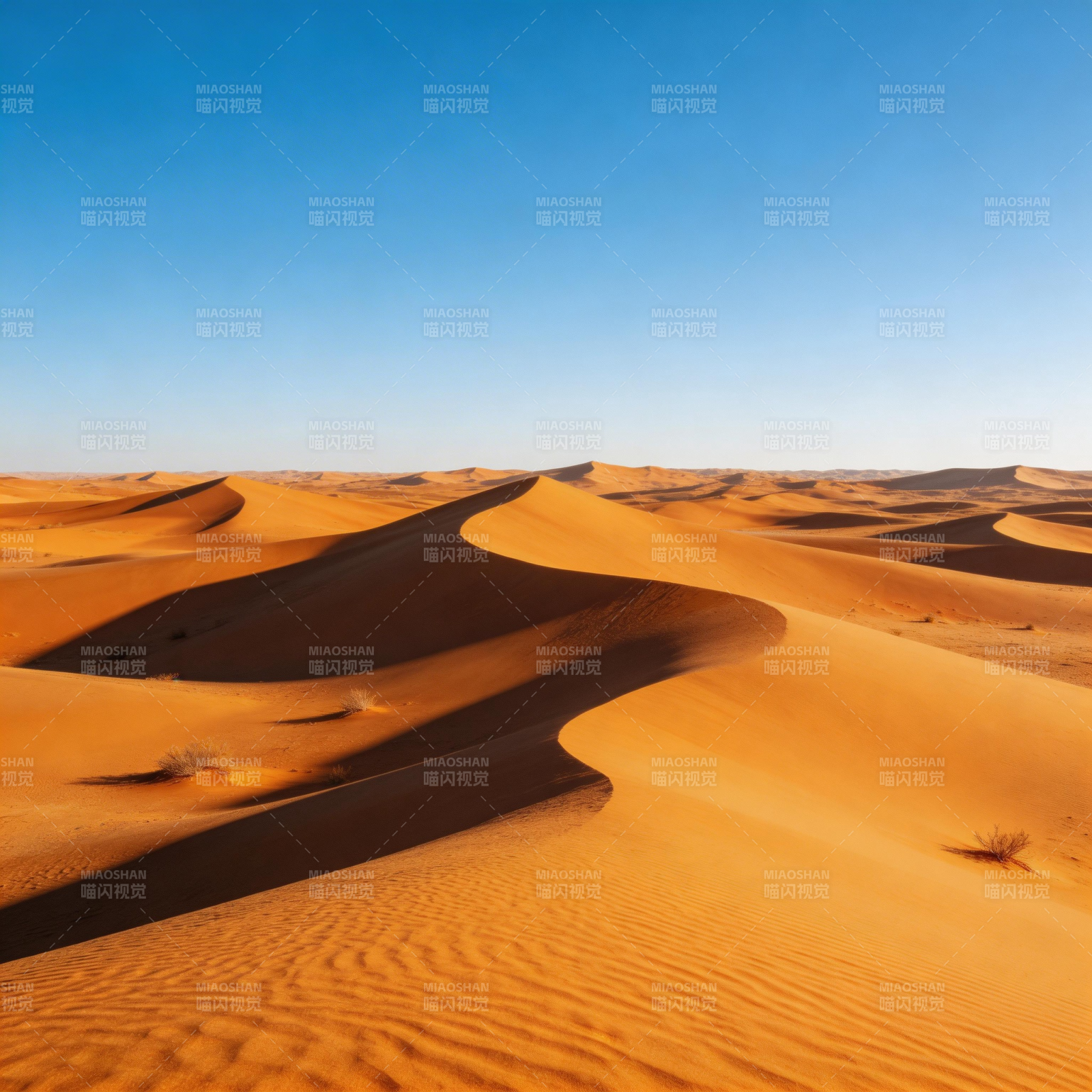 金色沙丘连绵起伏图片