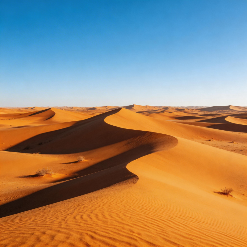 金色沙丘连绵起伏图片