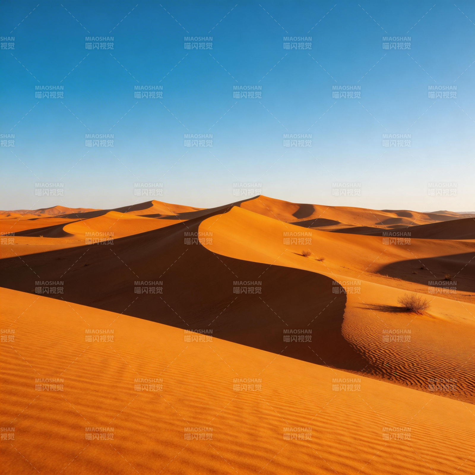 金色沙丘映蓝天图片