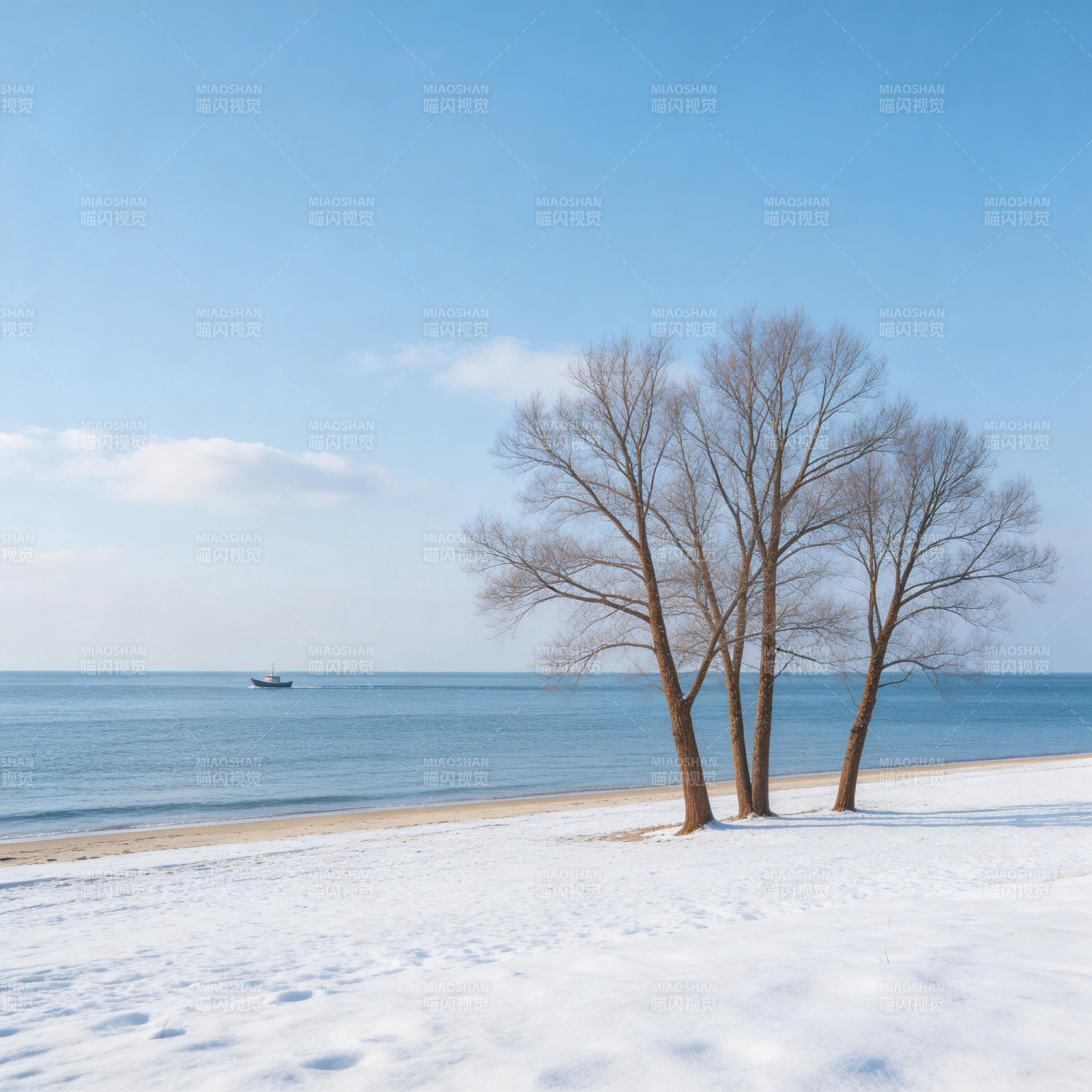 雪岸孤树映海天图片