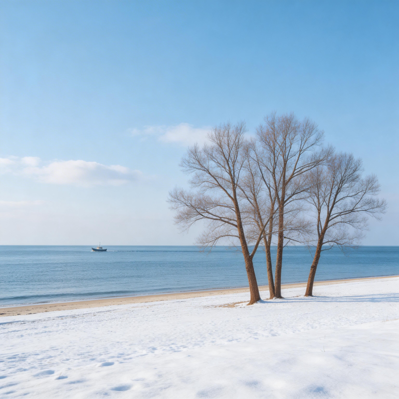 雪岸孤树映海天图片
