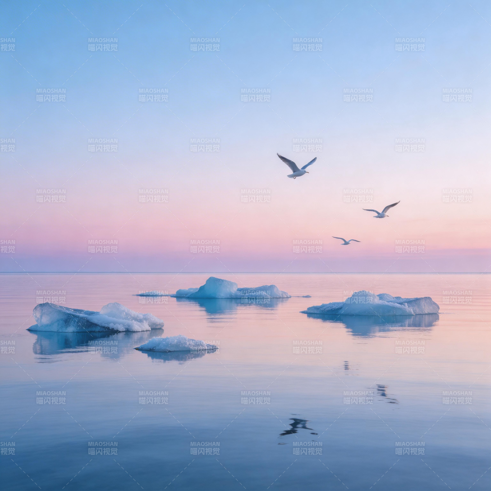 极地晨曦 冰海飞鸟图片