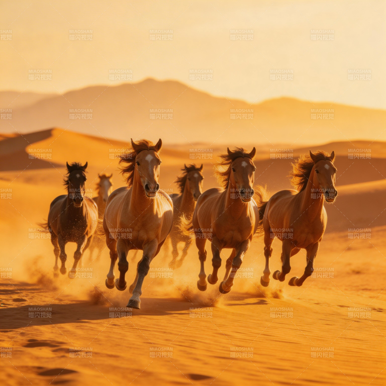 沙漠奔马图片