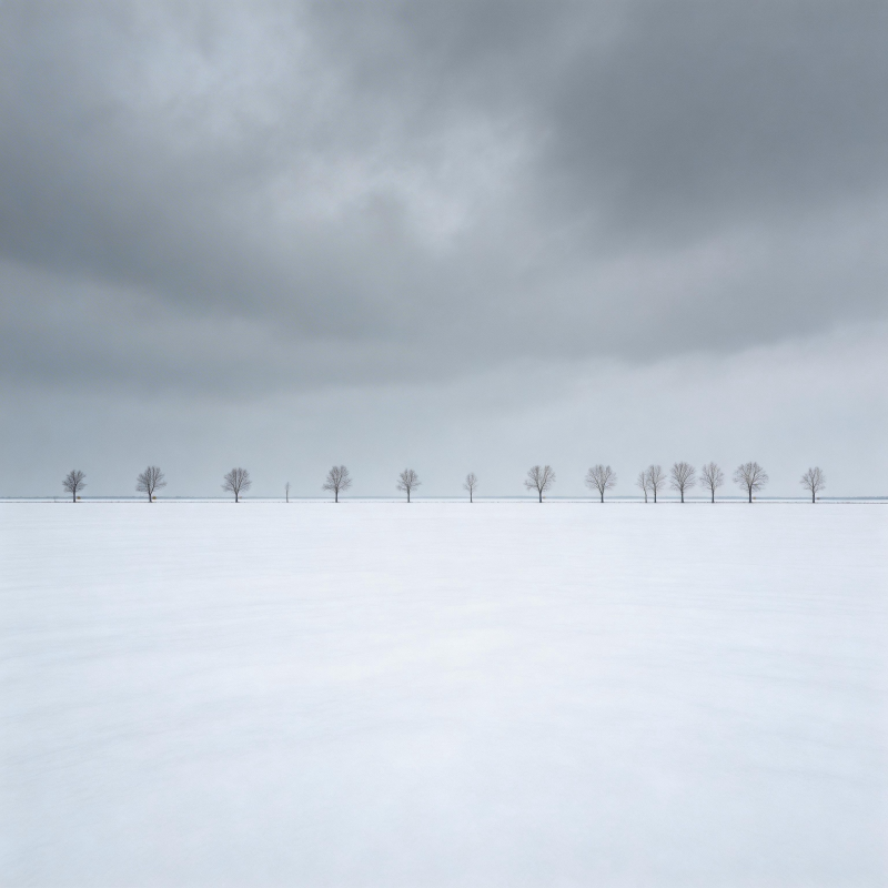 雪原孤树行图片