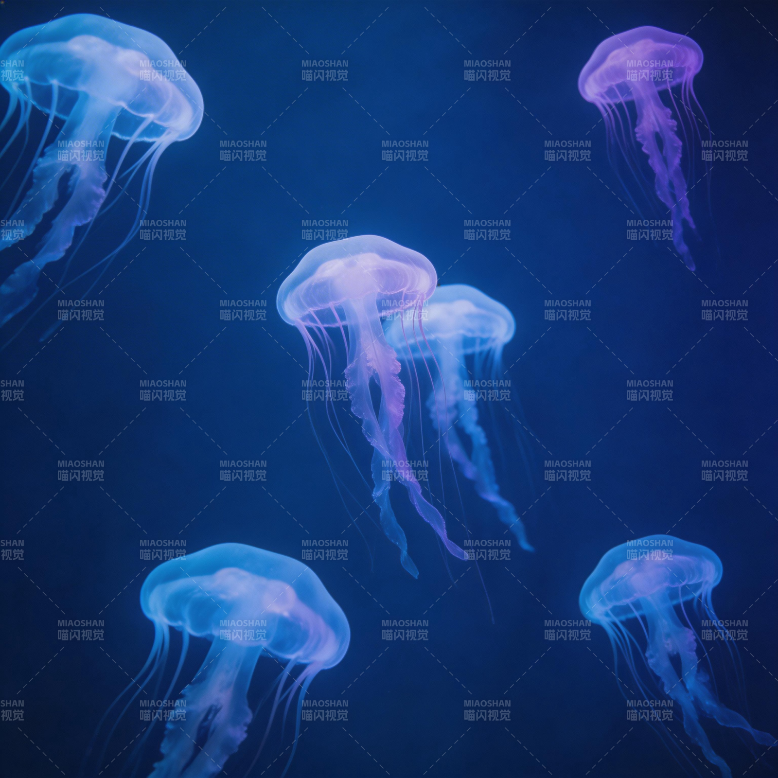 深海荧光水母图片