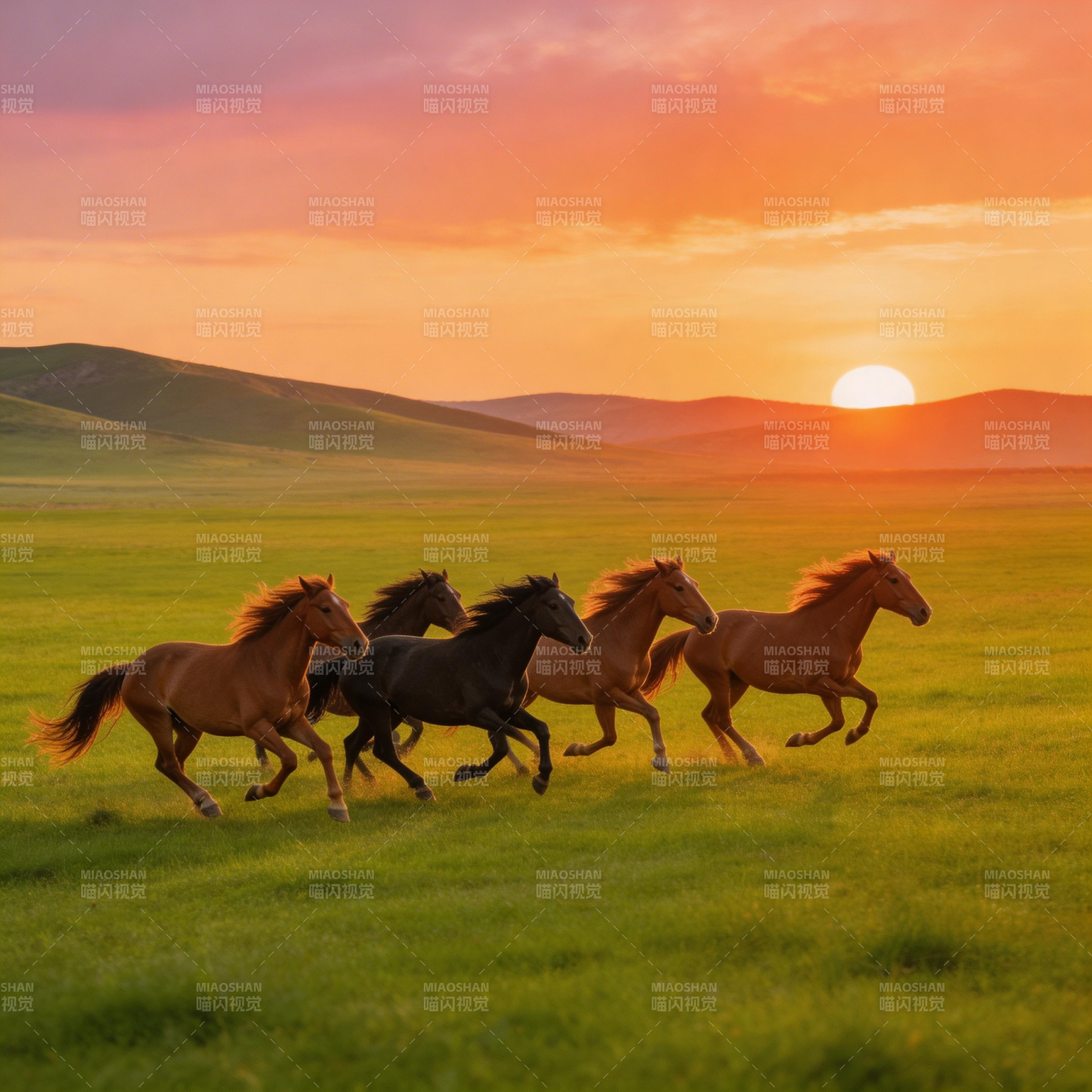 骏马奔腾夕阳下图片