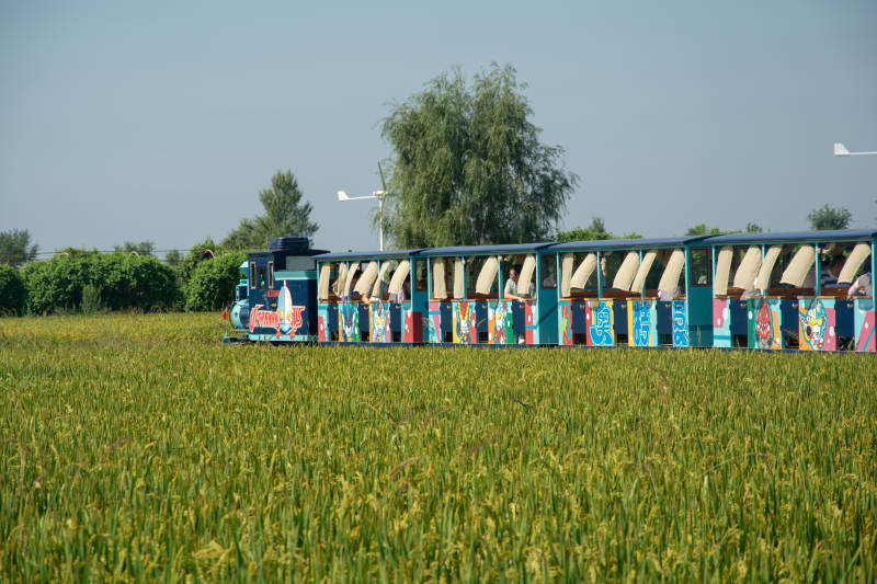 田园稻田小火车图片