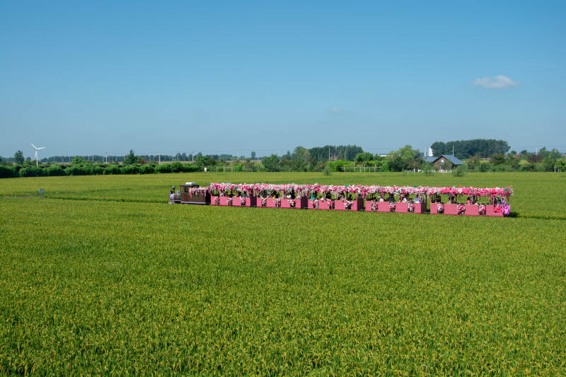 粉色花车穿行绿野图片