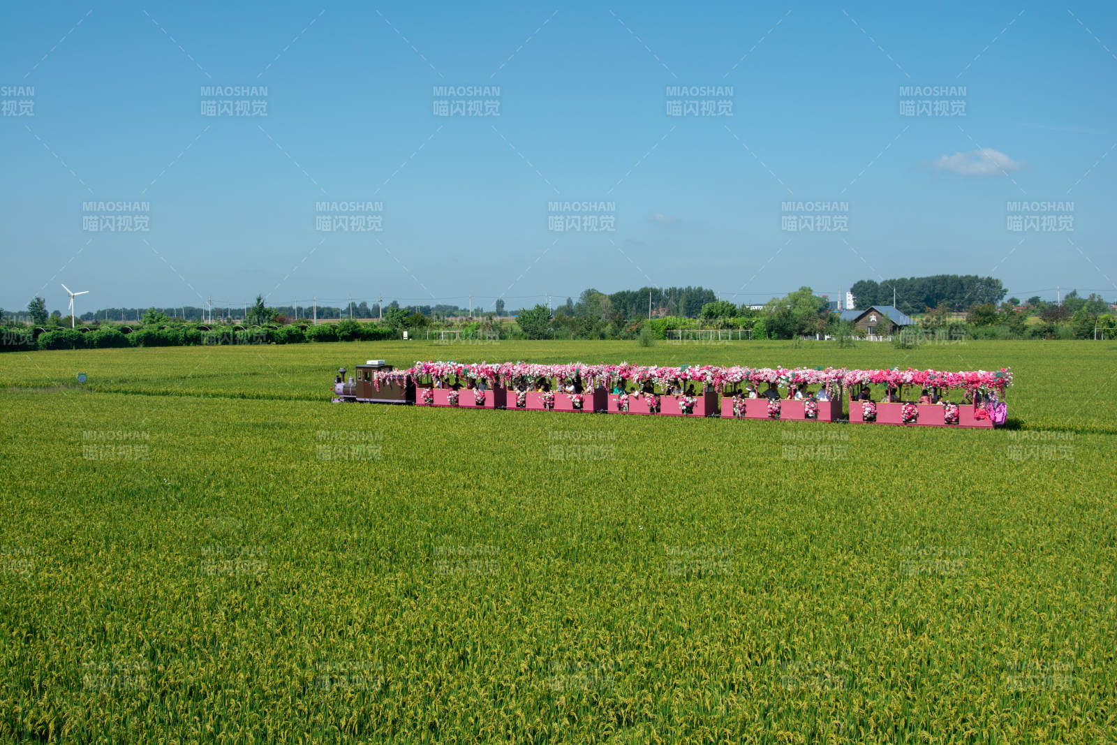 粉色花车穿行绿野图片