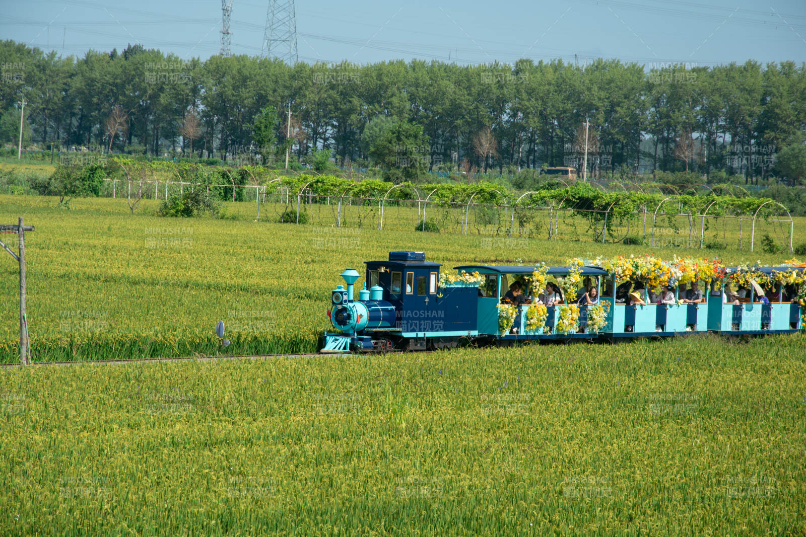 田园观光小火车图片