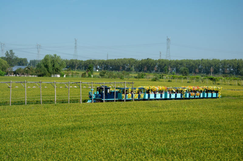 田园小火车图片
