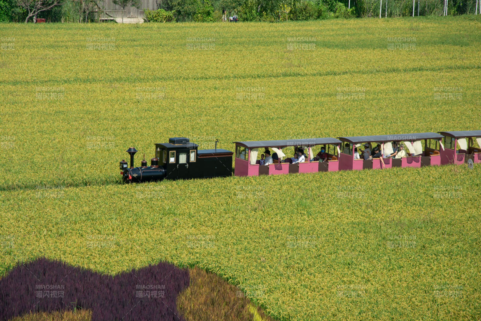 田园稻田小火车图片