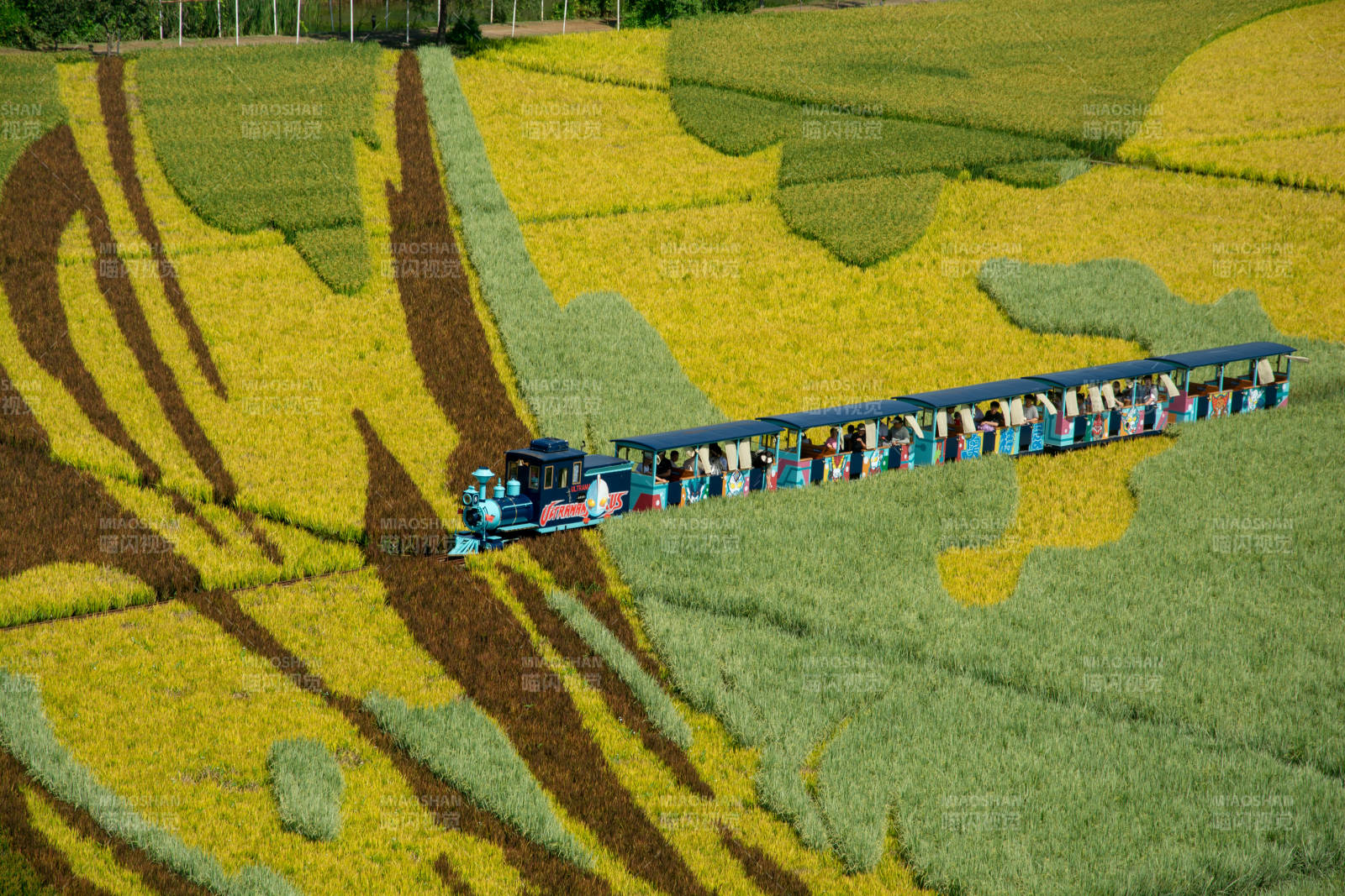 稻田空间火车游图片