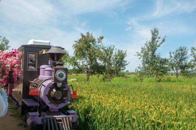 紫色小火车田园行图片