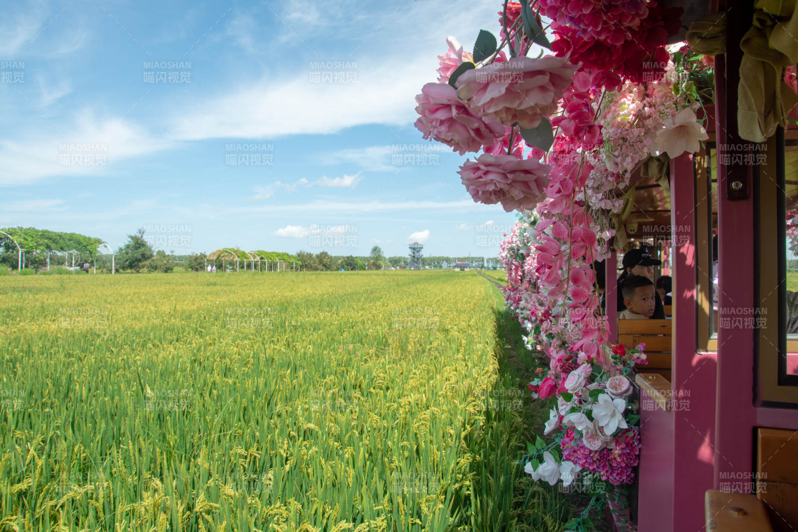 花车驶过金黄麦田图片