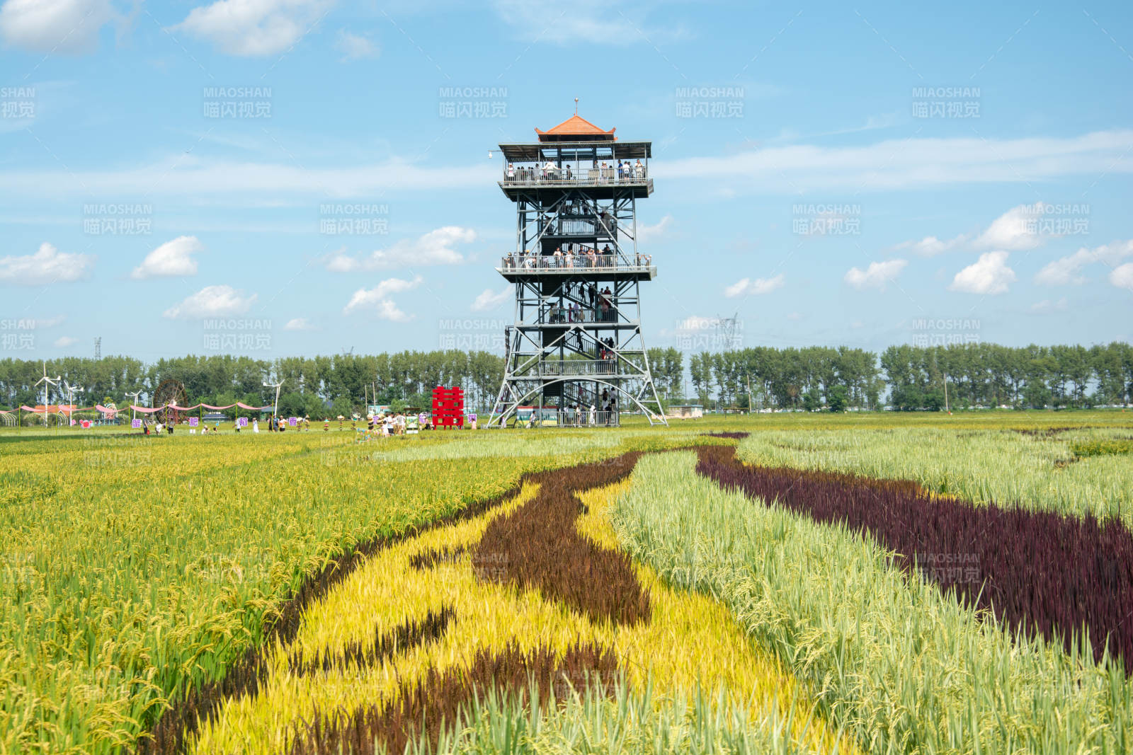 秋天稻田景观塔图片