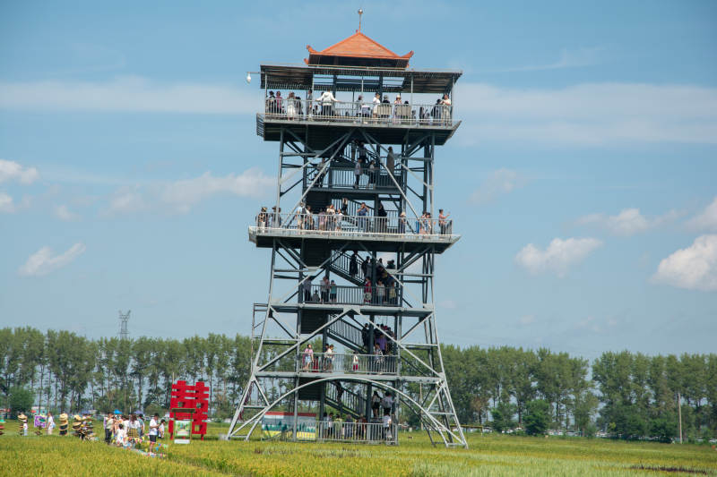 观景塔览田园风光图片