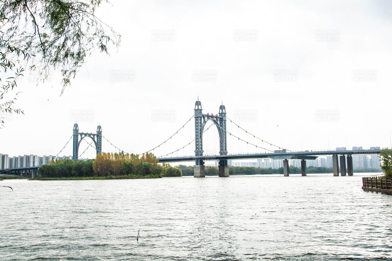 沈阳浑河东塔桥景色图片