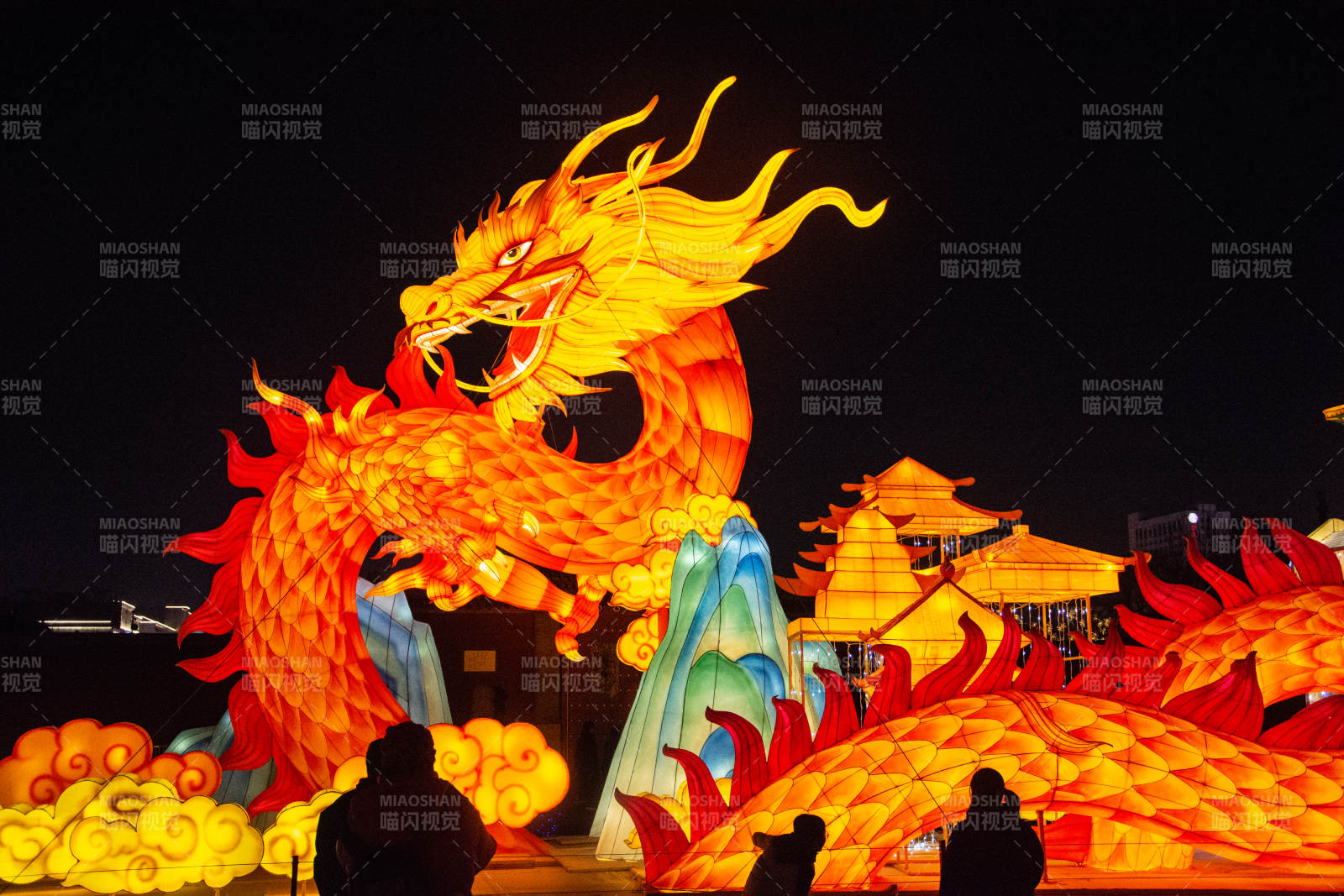 龙灯璀璨夜景图片