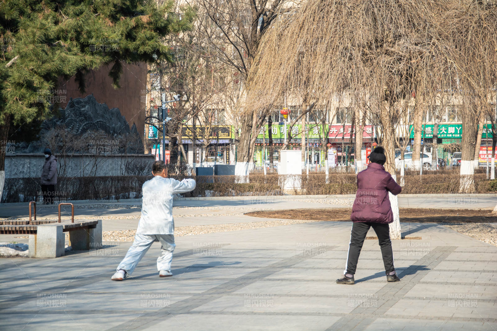 公园晨练太极图片