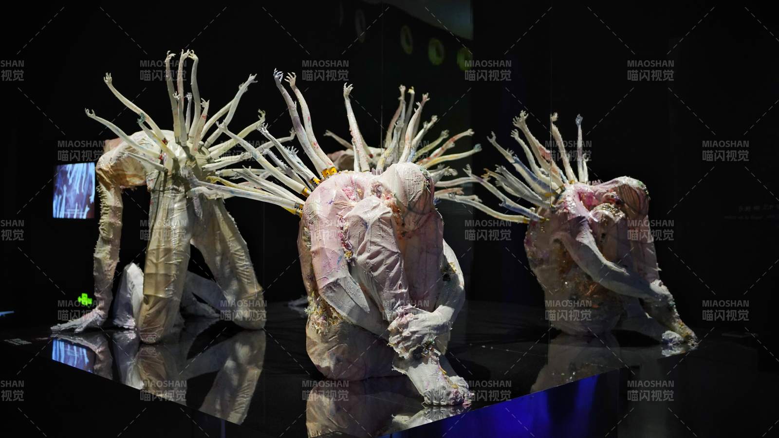 奇异生物艺术展图片