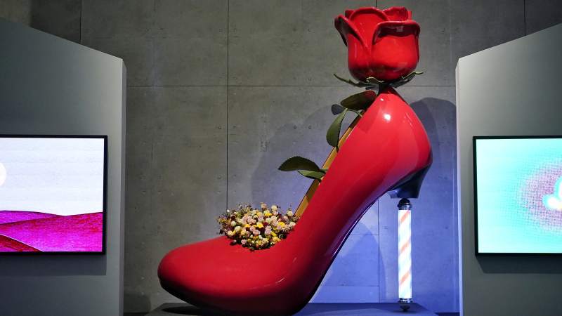 红鞋上的玫瑰图片