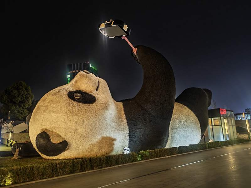 熊猫自拍夜景图片