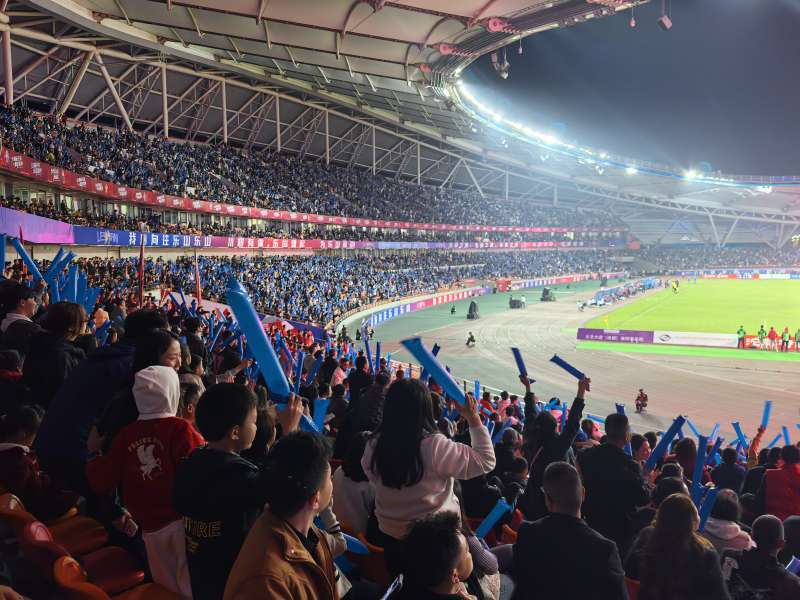 体育场内热情观众图片